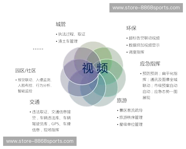 前瞻掘金：把握未来机遇的智慧路径